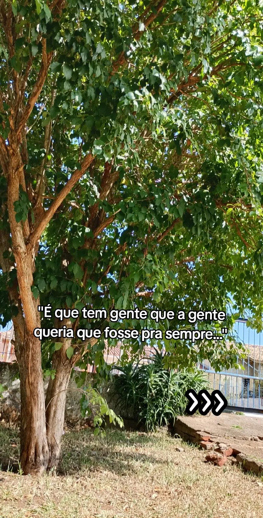 @Ediv&acirc;nia Le&atilde;o 🌻❤