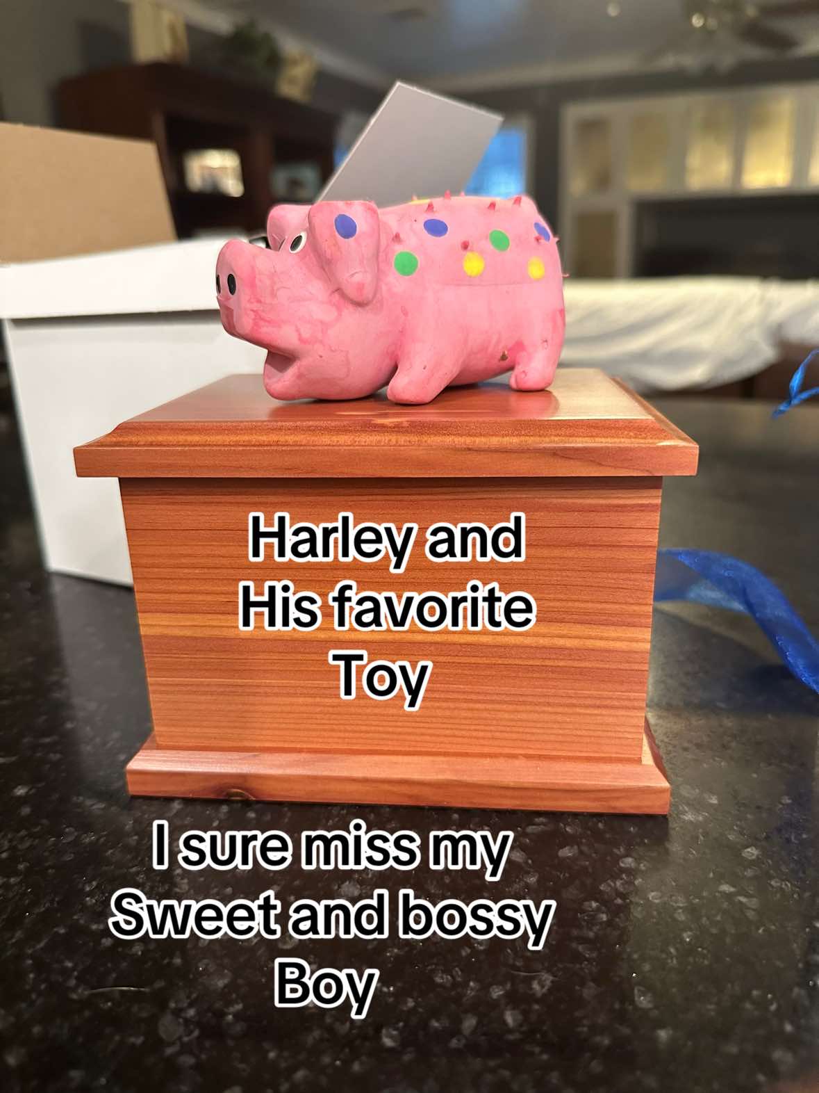 @Juana&rsquo;s Chaotic Creations