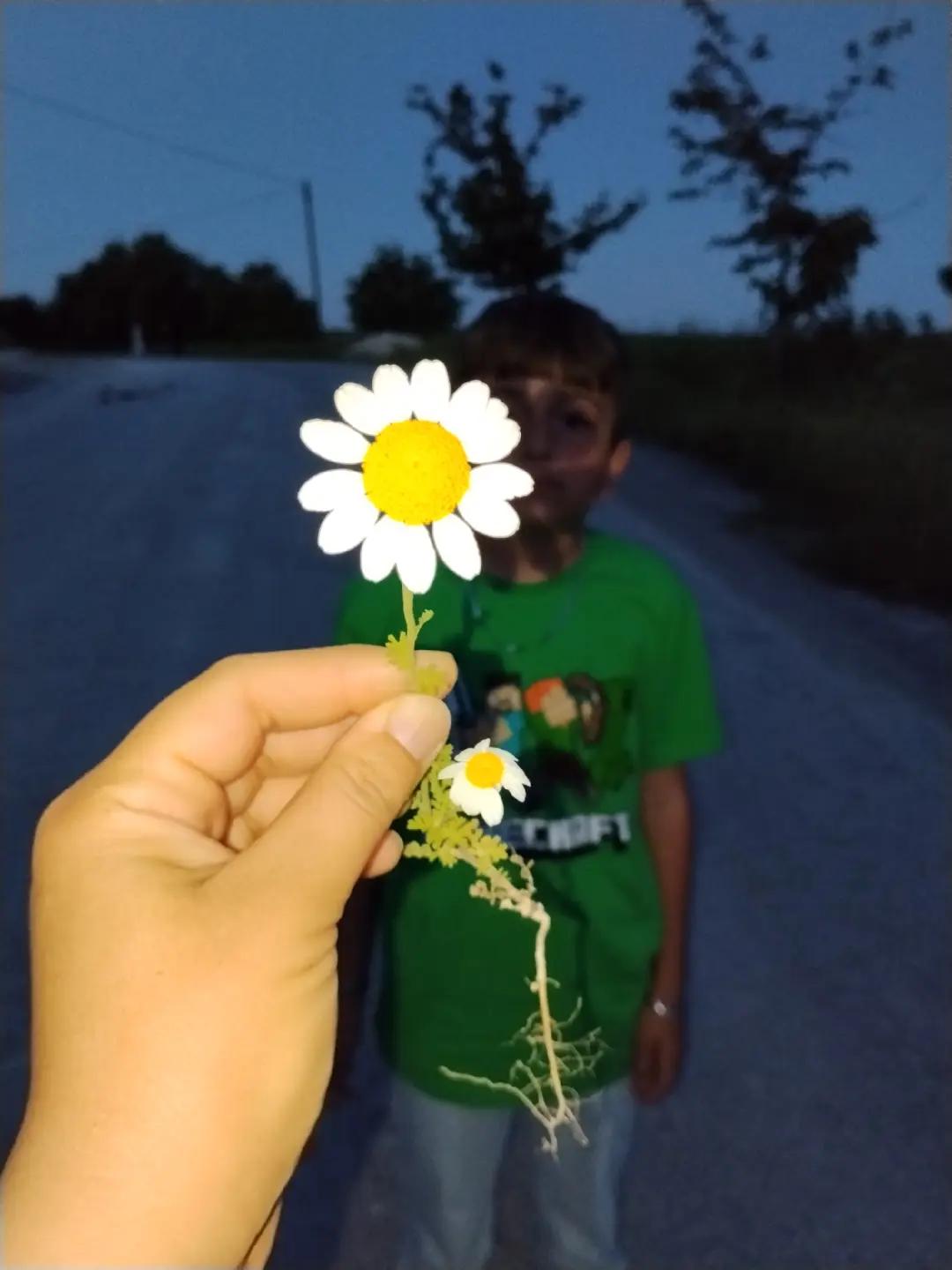 @poyraz'ın kraliçesi💙