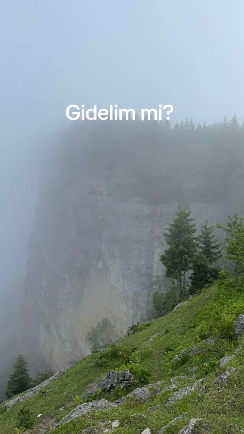 @Tuğçemsi'