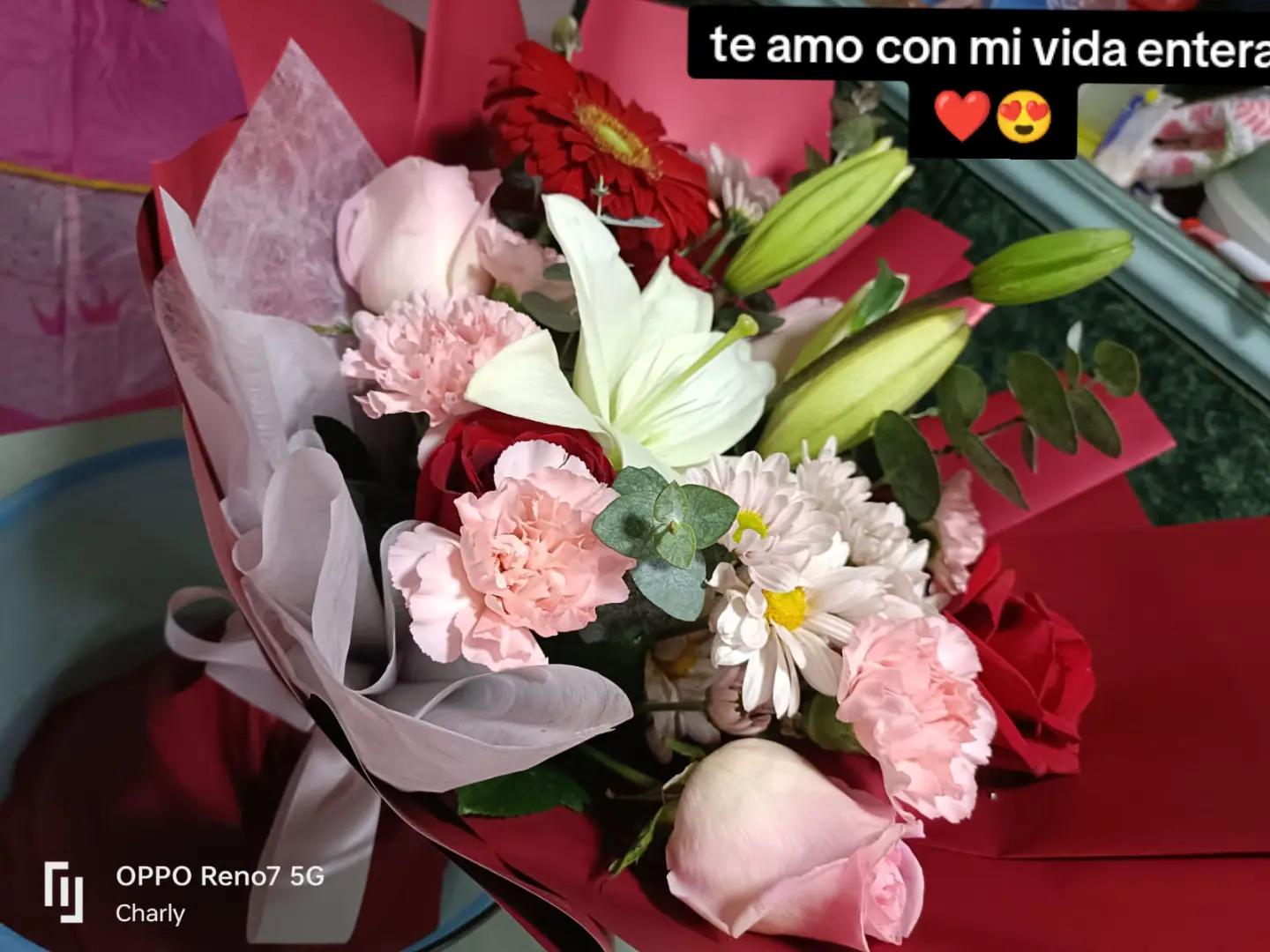 @Dana Salazar