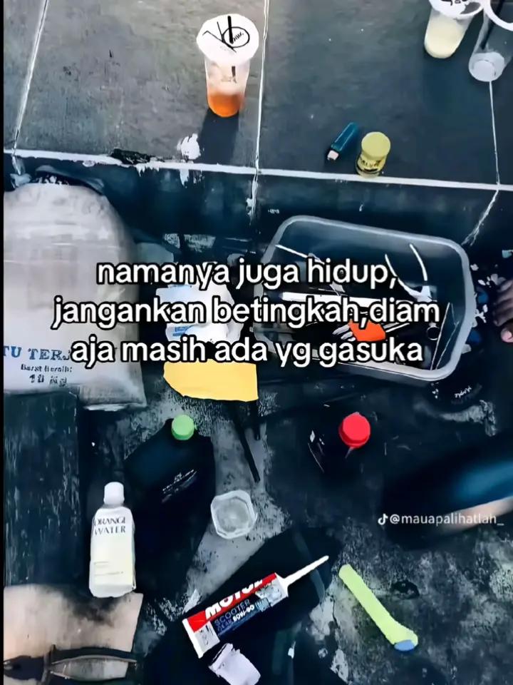 @Penguja🐊