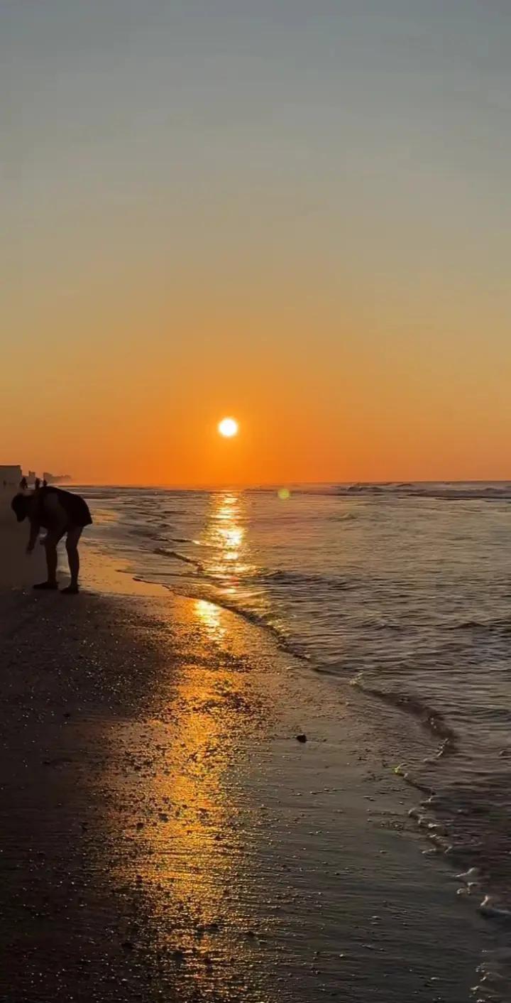 @alinmarcu327