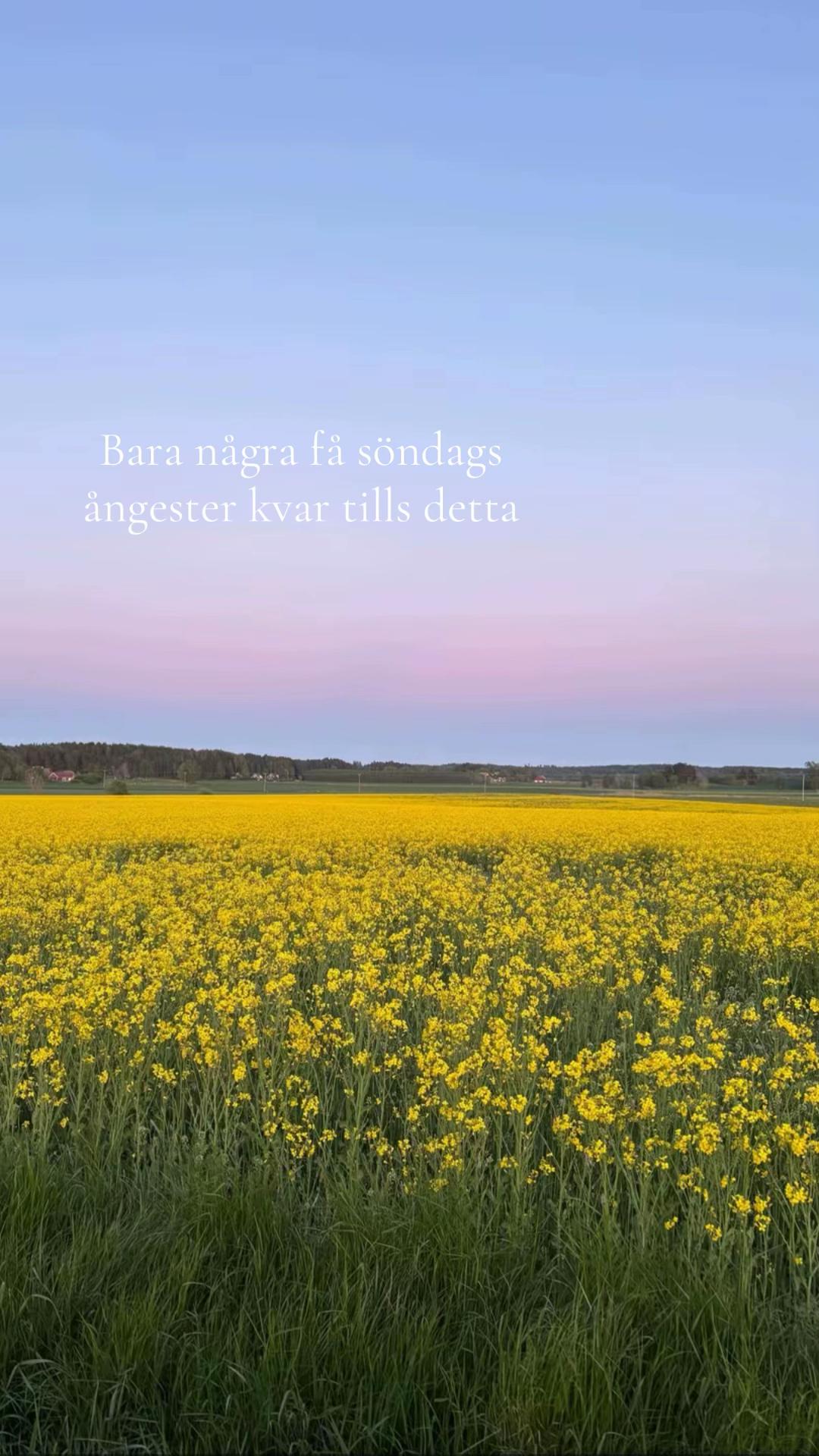 @𝒮