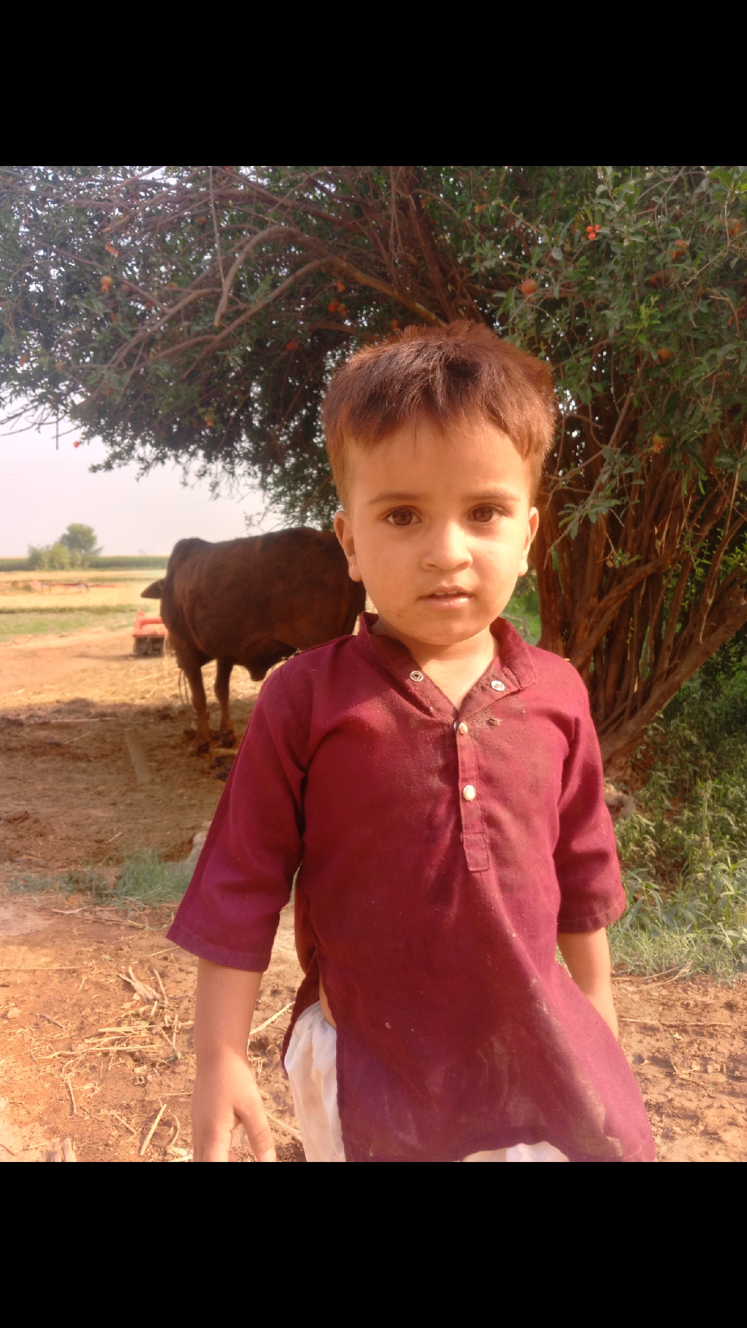 @Maher Adnan