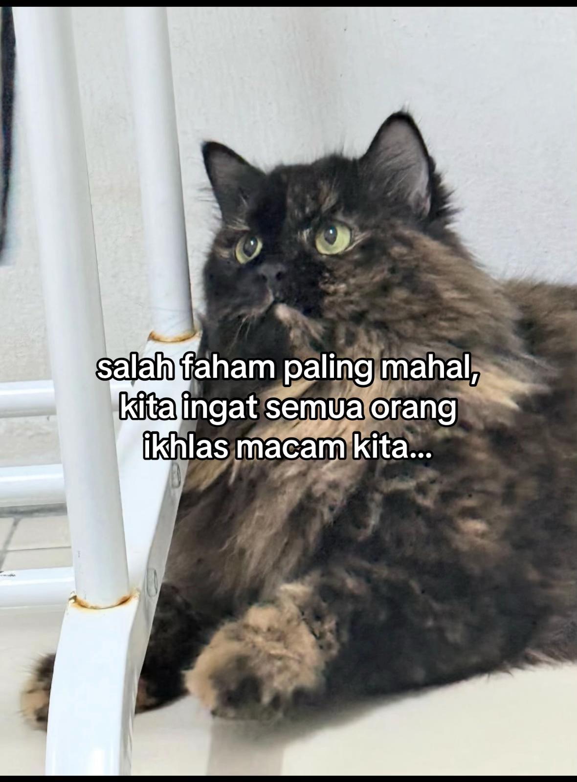 @ˢᶜᵒʳᵖⁱᵒⁿ_ᴳⁱʳˡ🦂