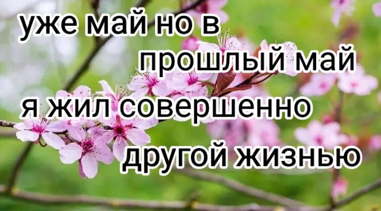 @Damir