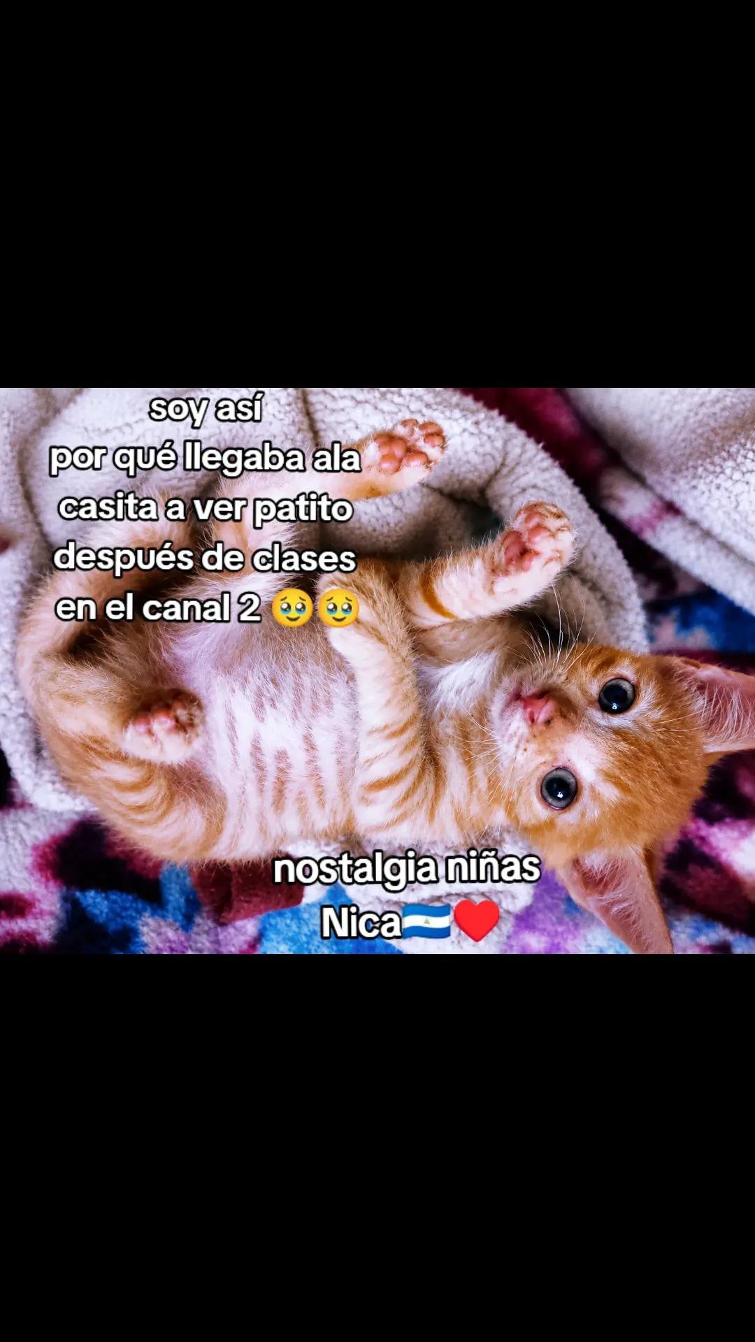 @chica gueguense505