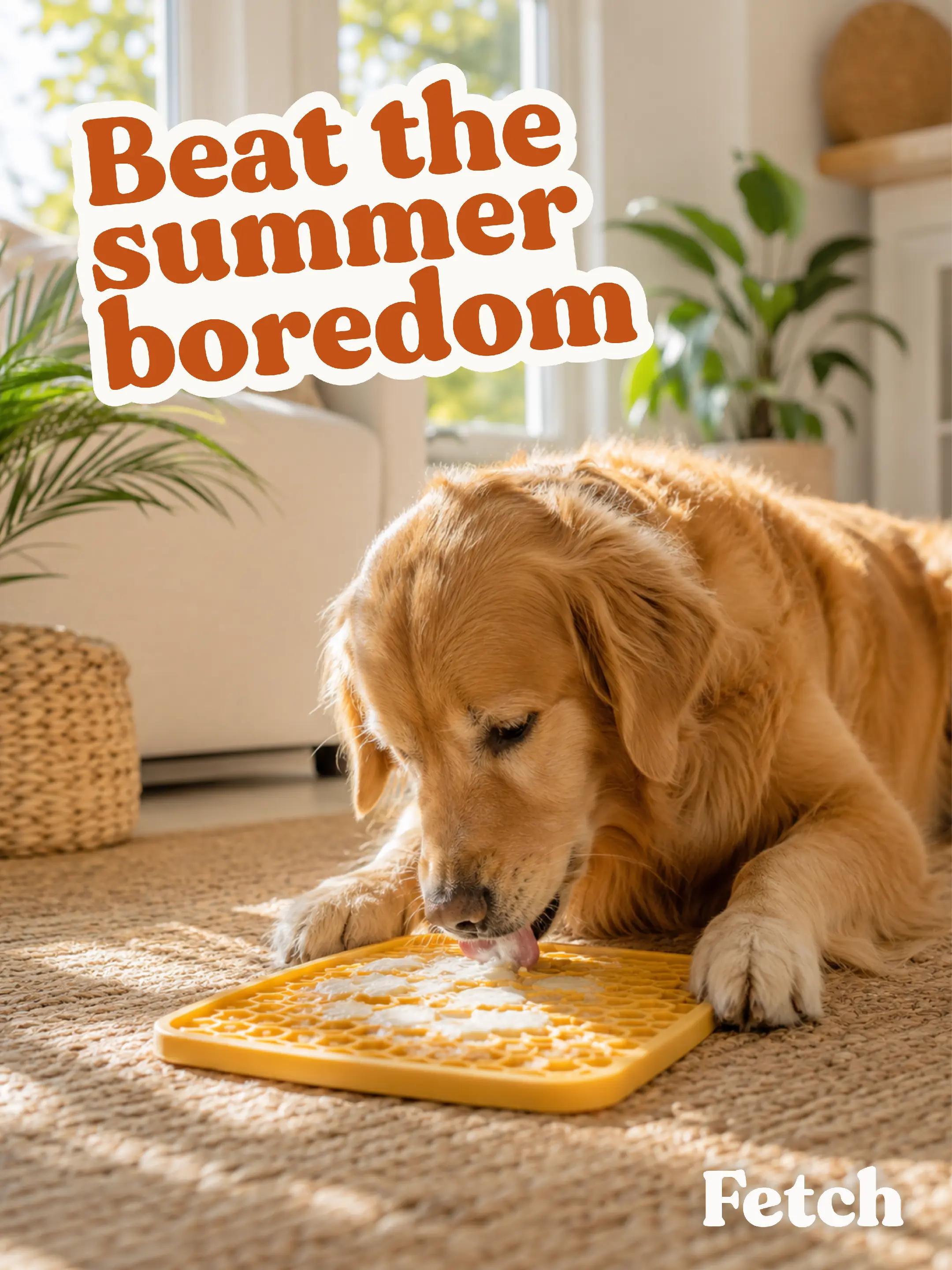 @Fetch Your Pet Needs