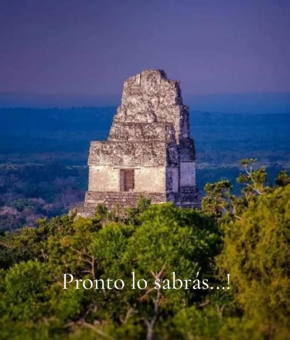 @Martín Campos