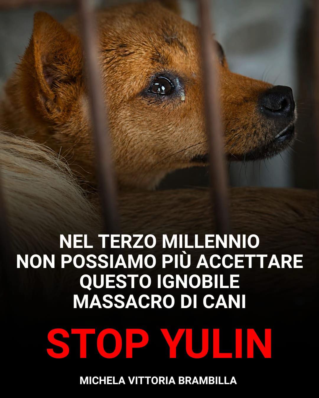 @Michela Vittoria Brambilla