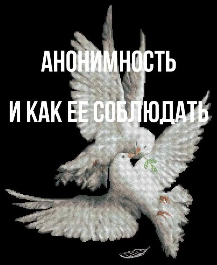 @sucionov