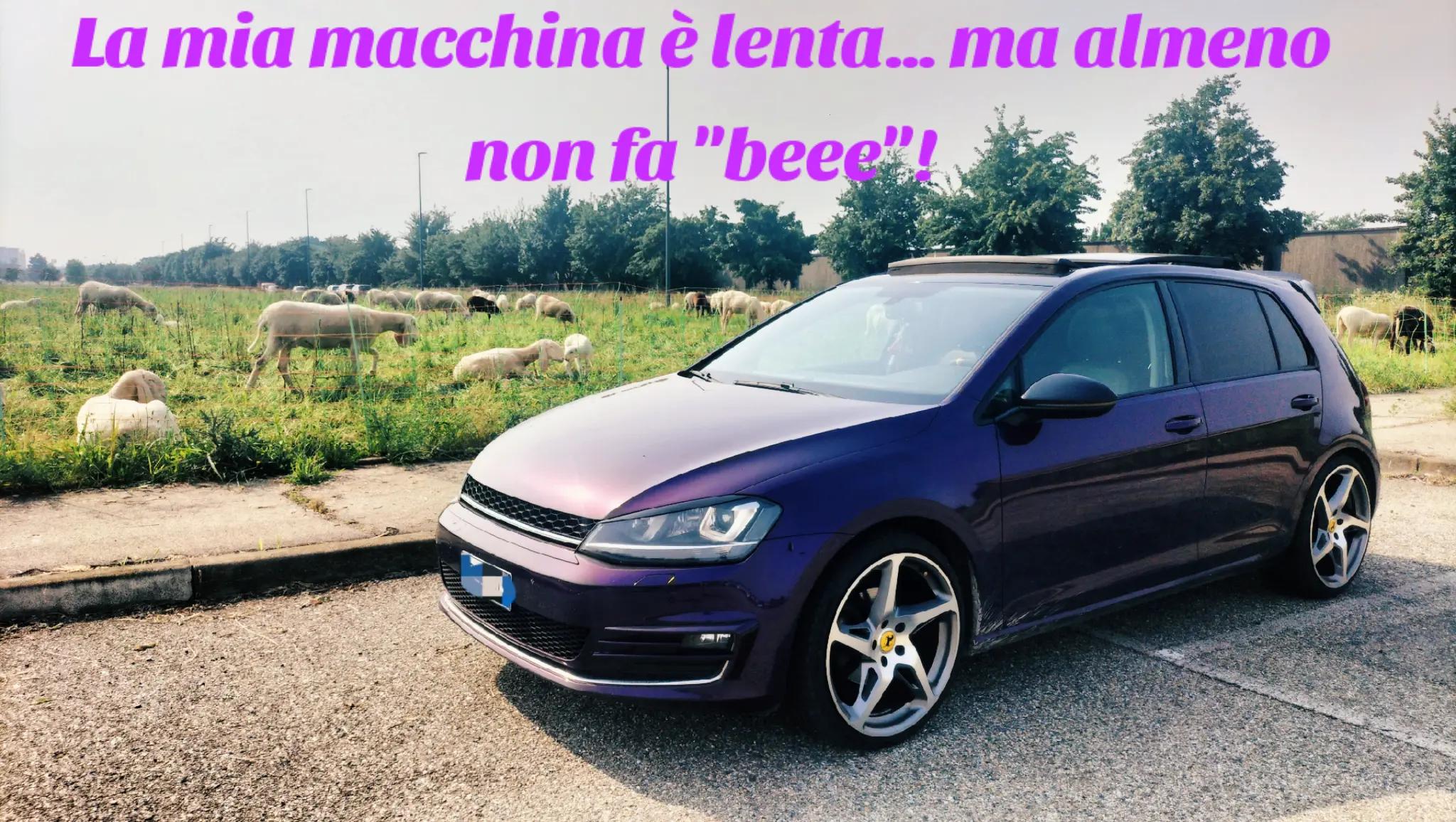 @Golf7💜