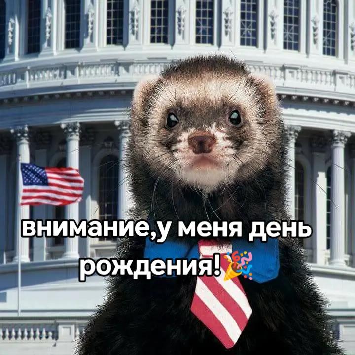 @Йоу, лаваш с гвоздями @
