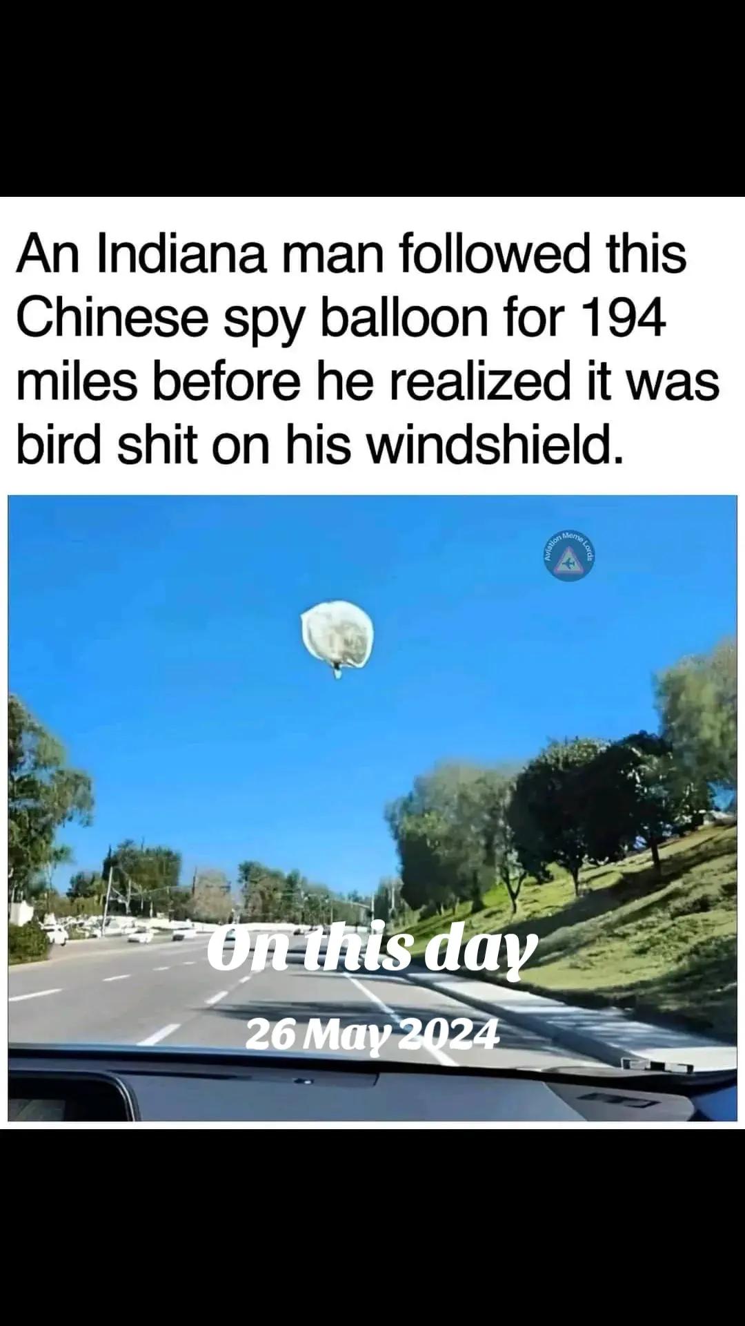 @shaypigeons