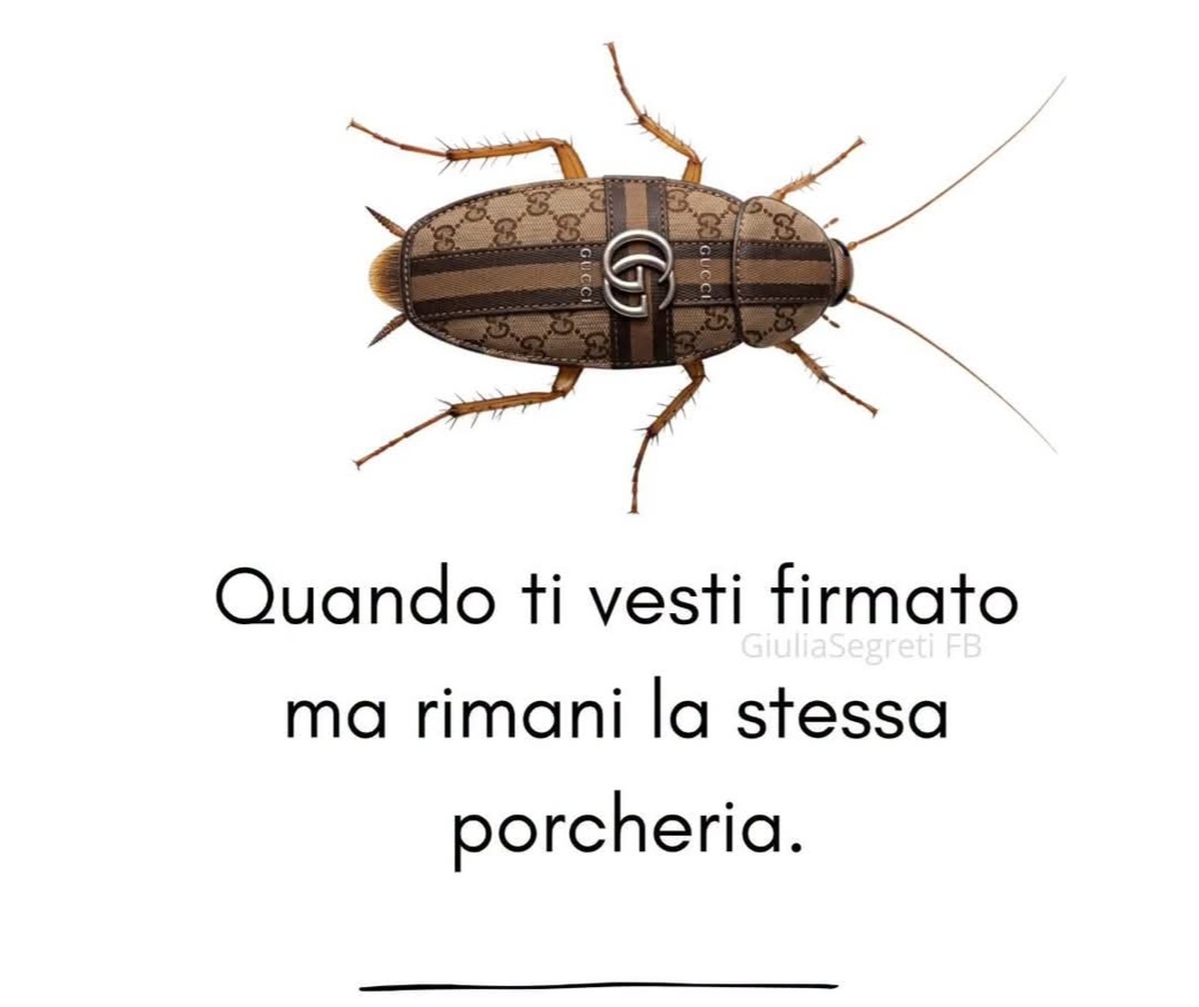 @isabellameetoo