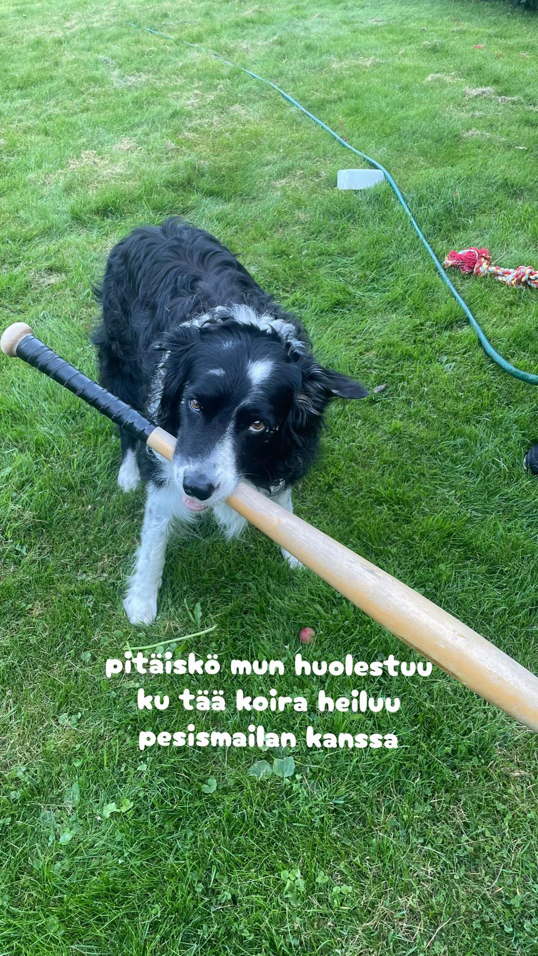 @selja