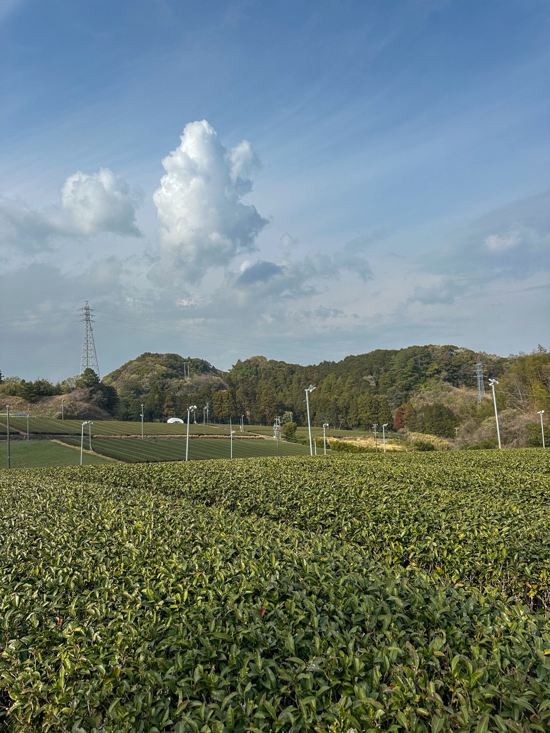 @森木農園