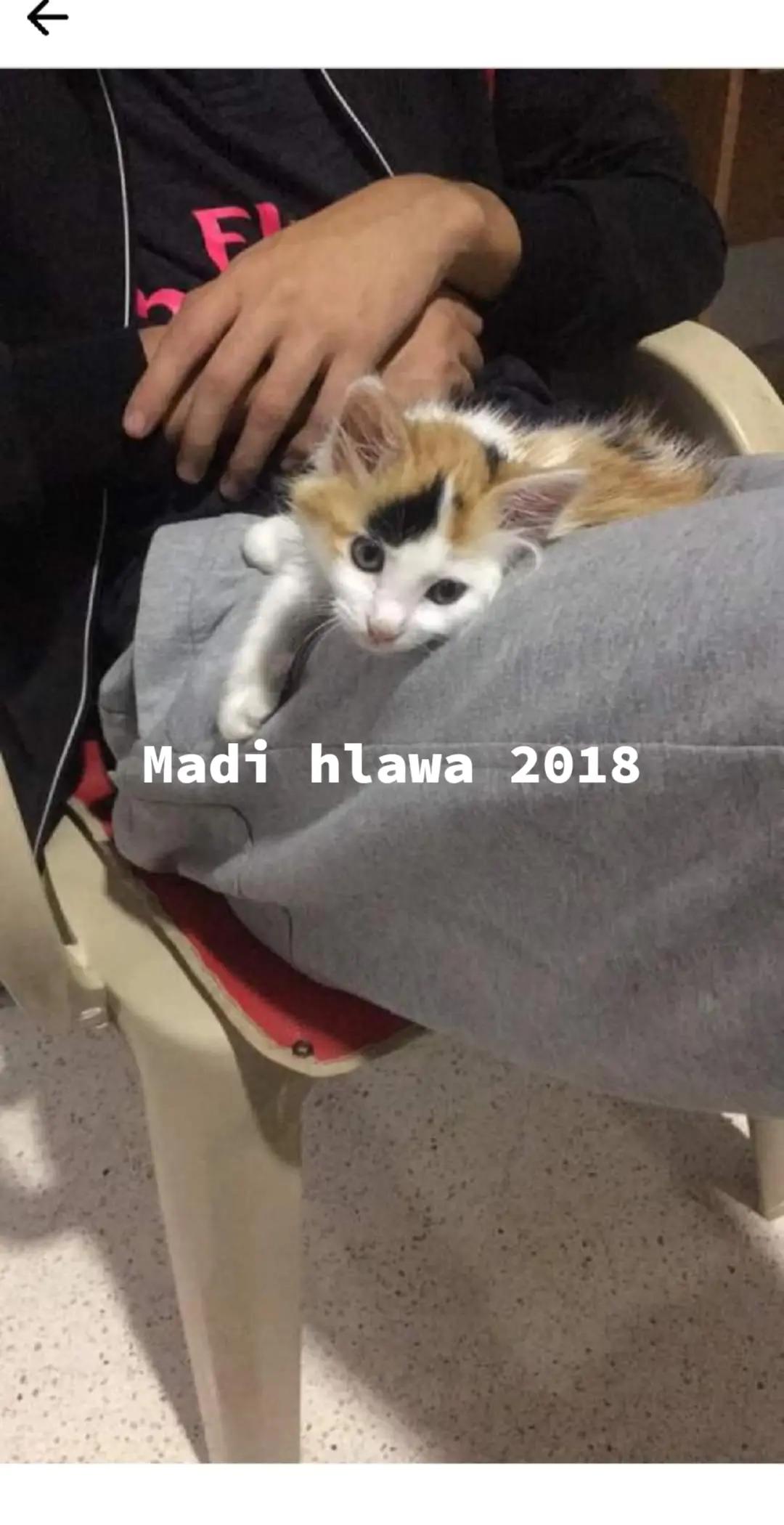 @Prince 🤴 nicotine 🐱nana