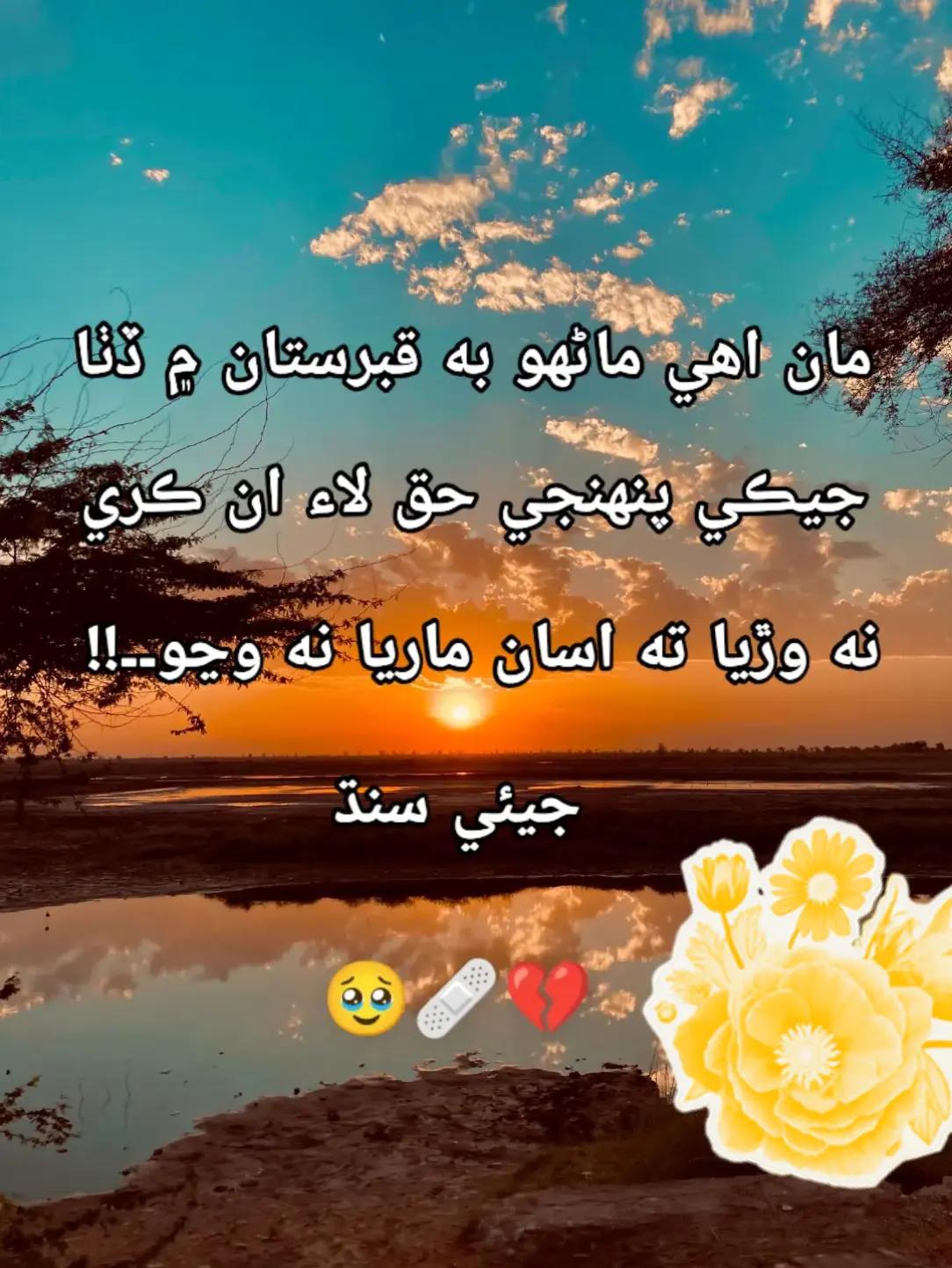 @gul Muhammad Joyo
