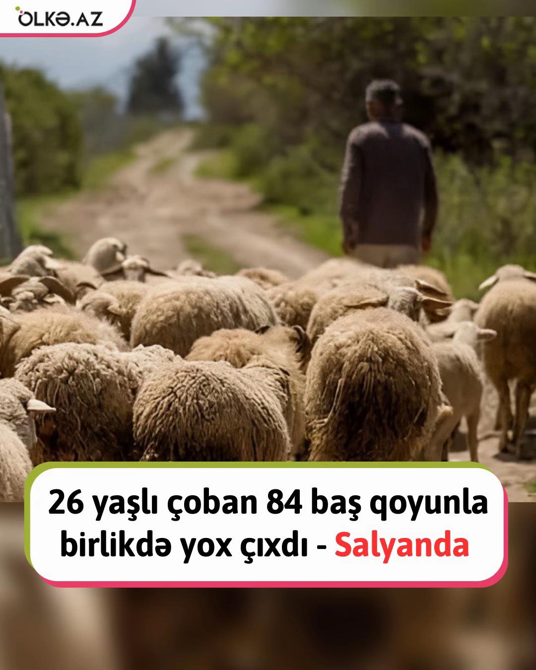 @Ölkə TV