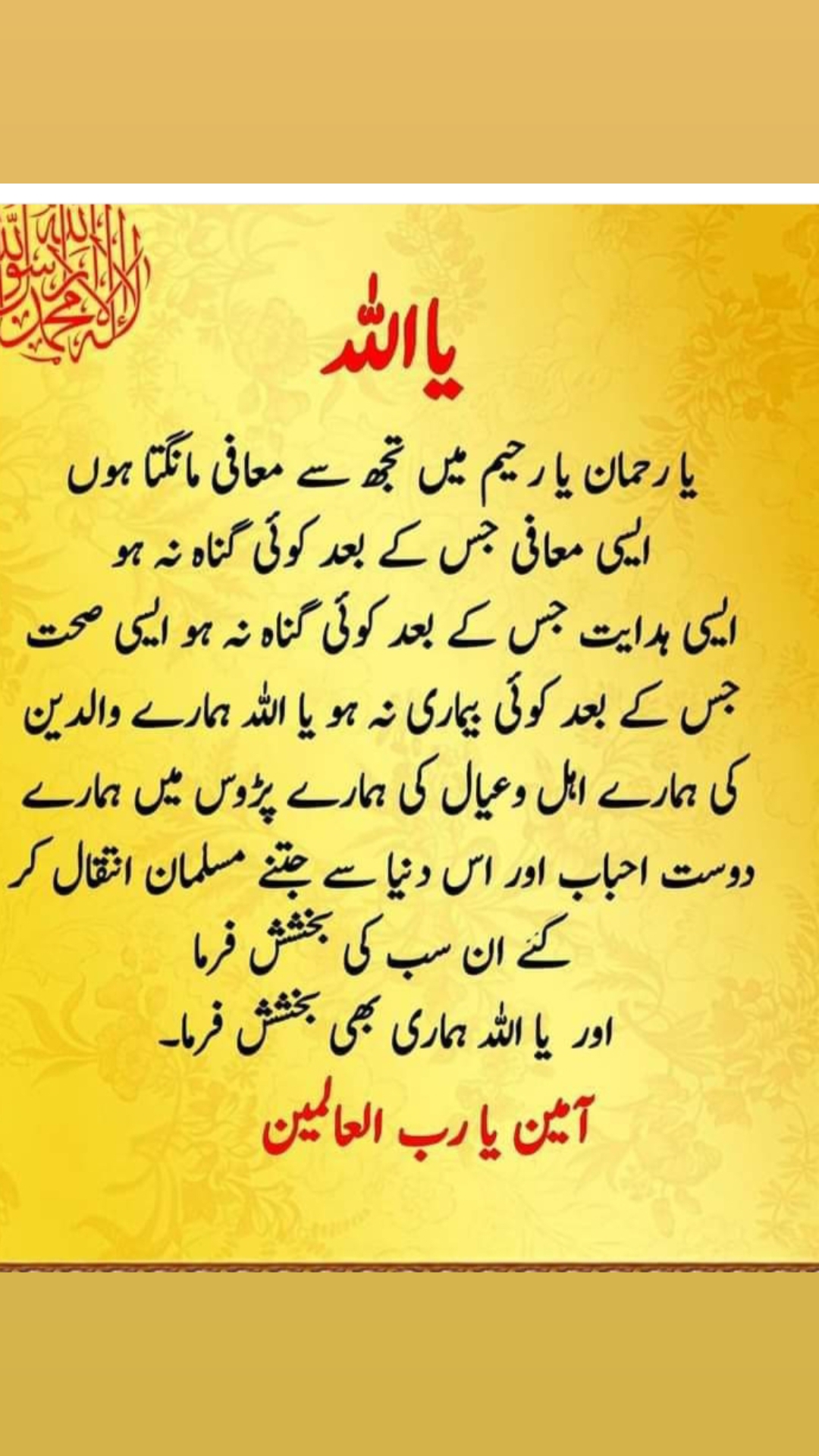 @maryam jamila