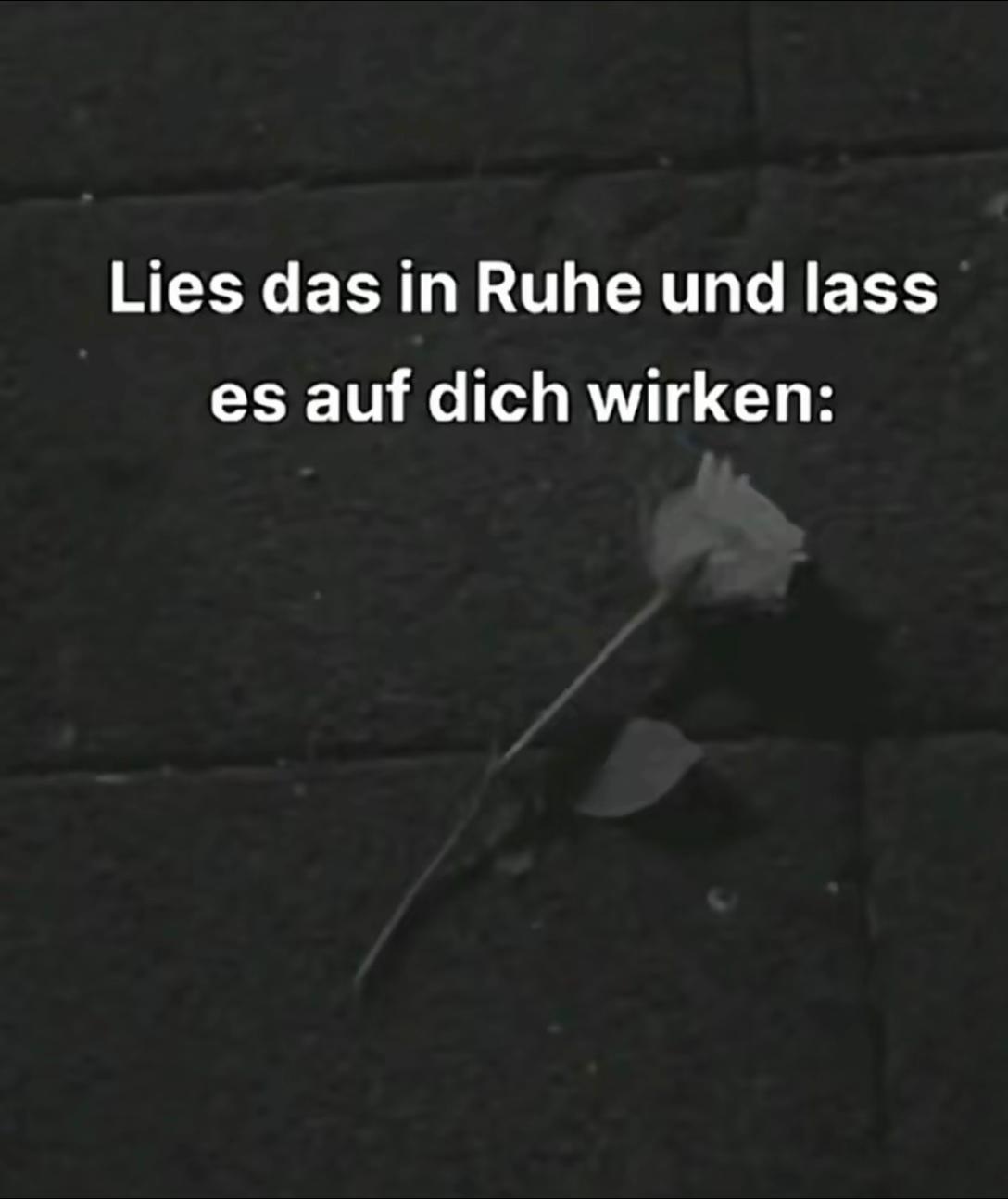 @Spr&uuml;che_Welt_F&uuml;r_Alle