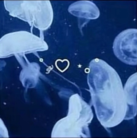 @Aikooooooooooooooooooooooooooo