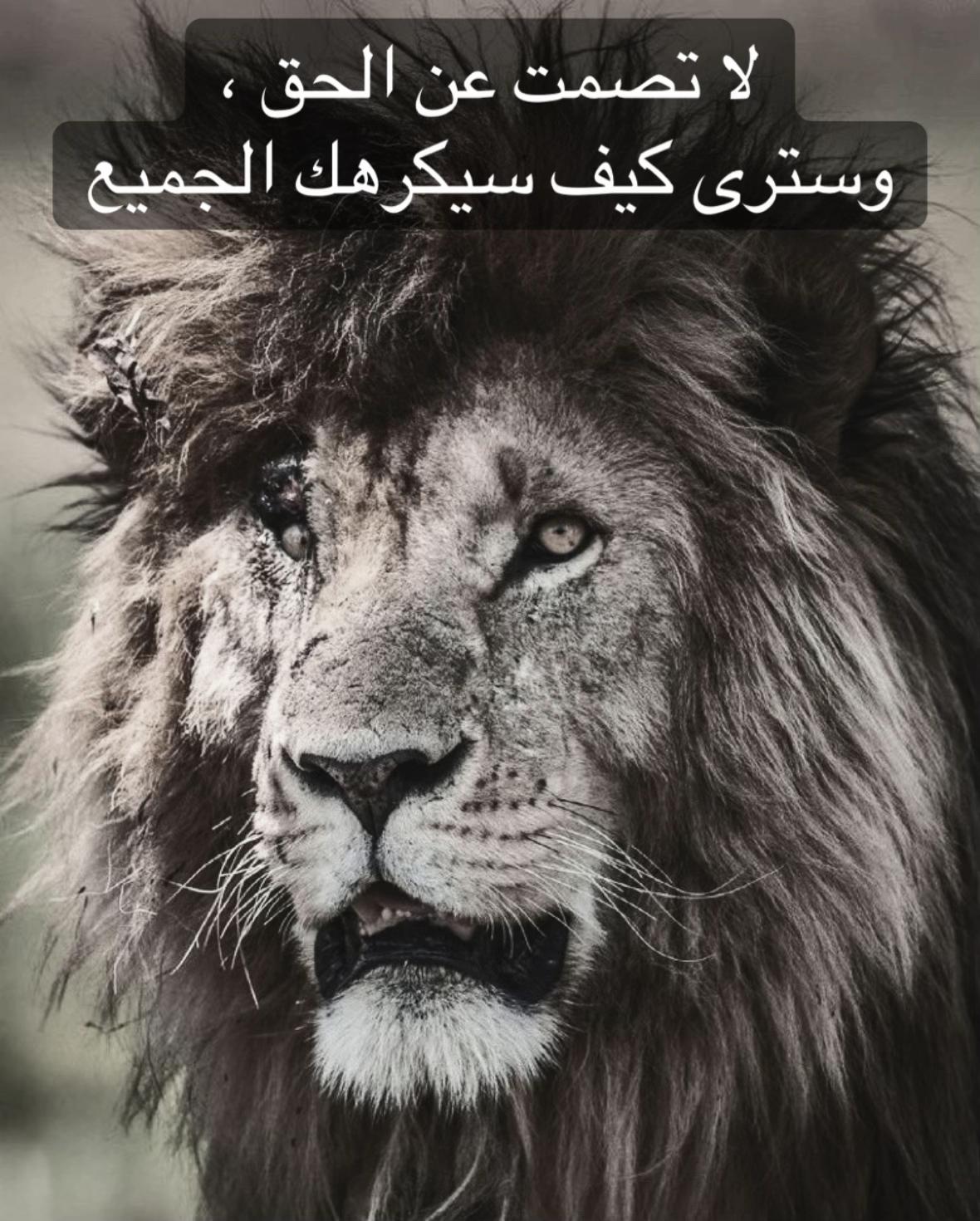 @🦁 scarface 🦁