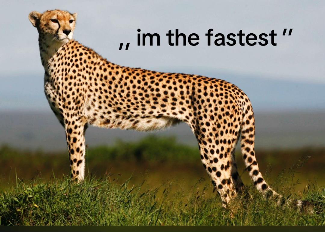 @dryflyguy15