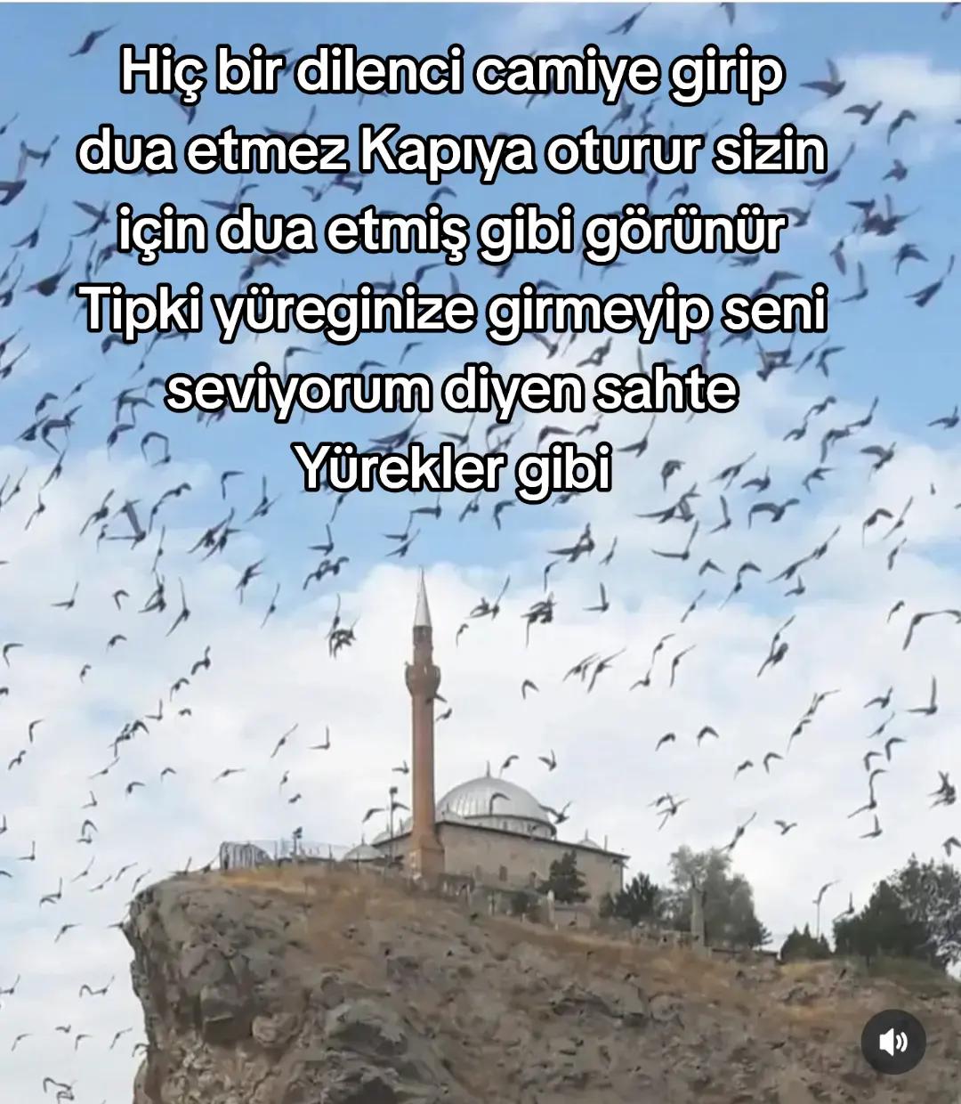 @hayattan izler