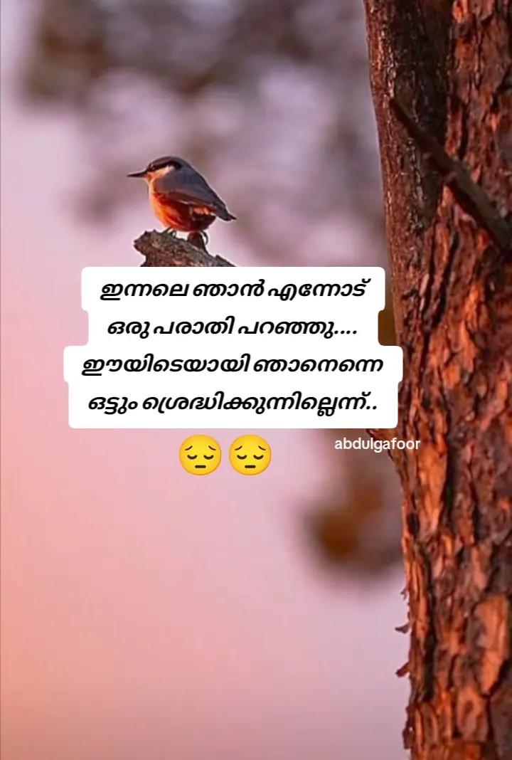 @ഗഫൂർ.ചെട്ടികുളങ്ങര