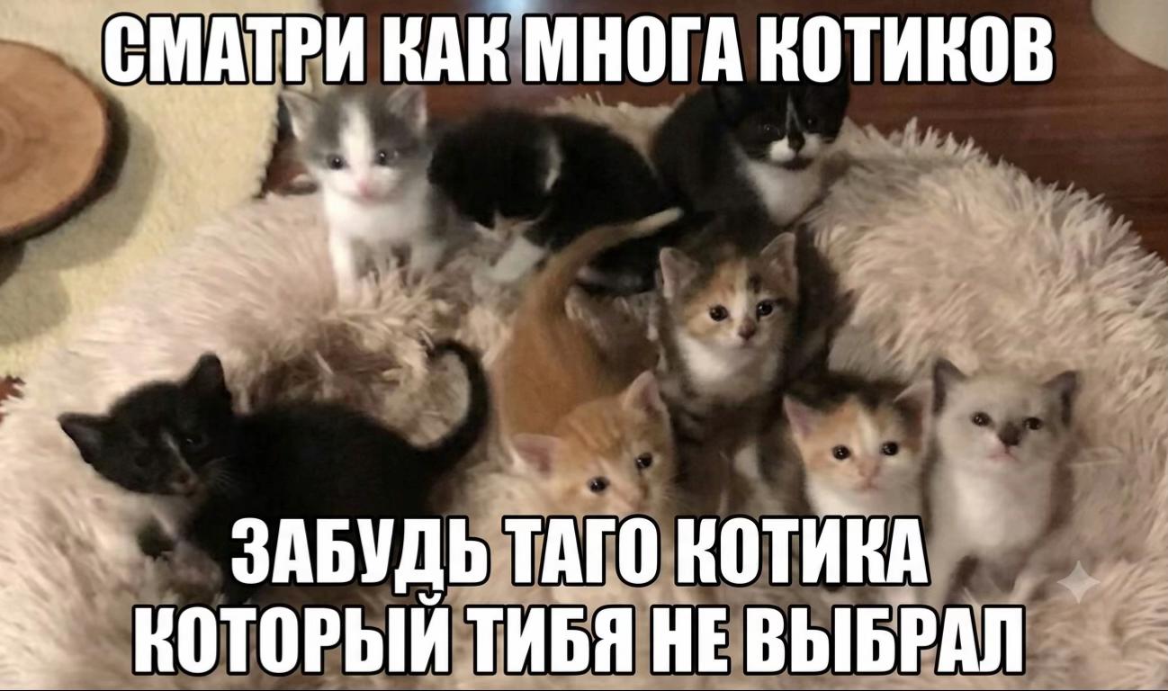 @златвв