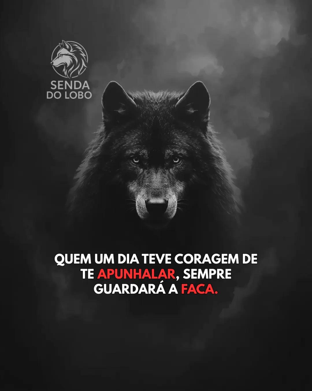 @Senda do Lobo