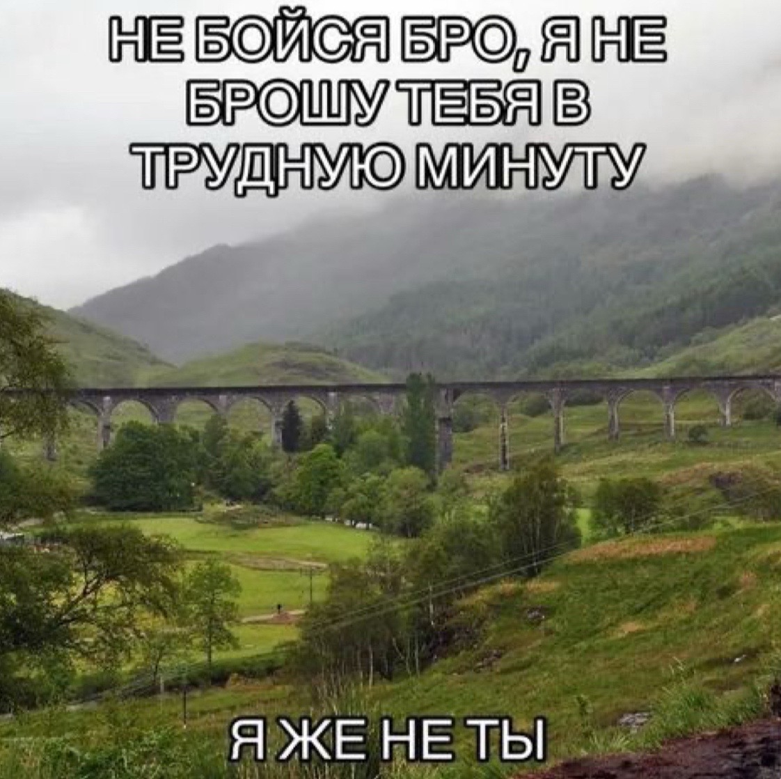 @anayad