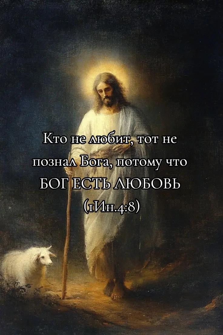 @DASHенция