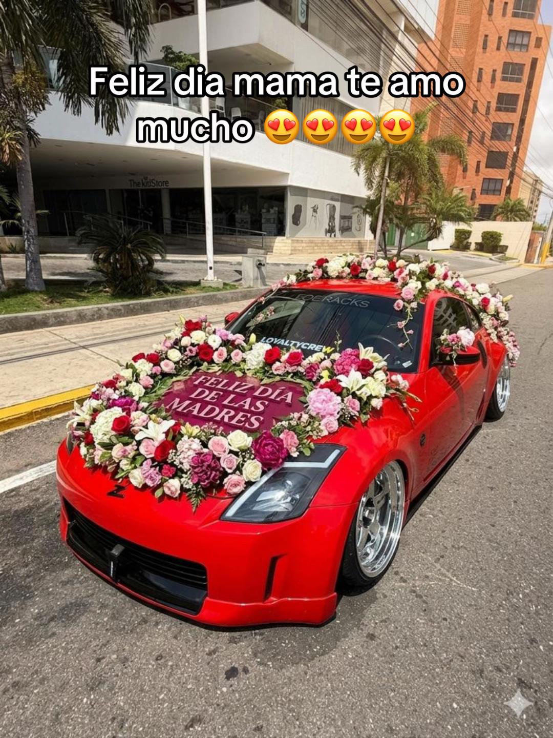 @Luis navarro