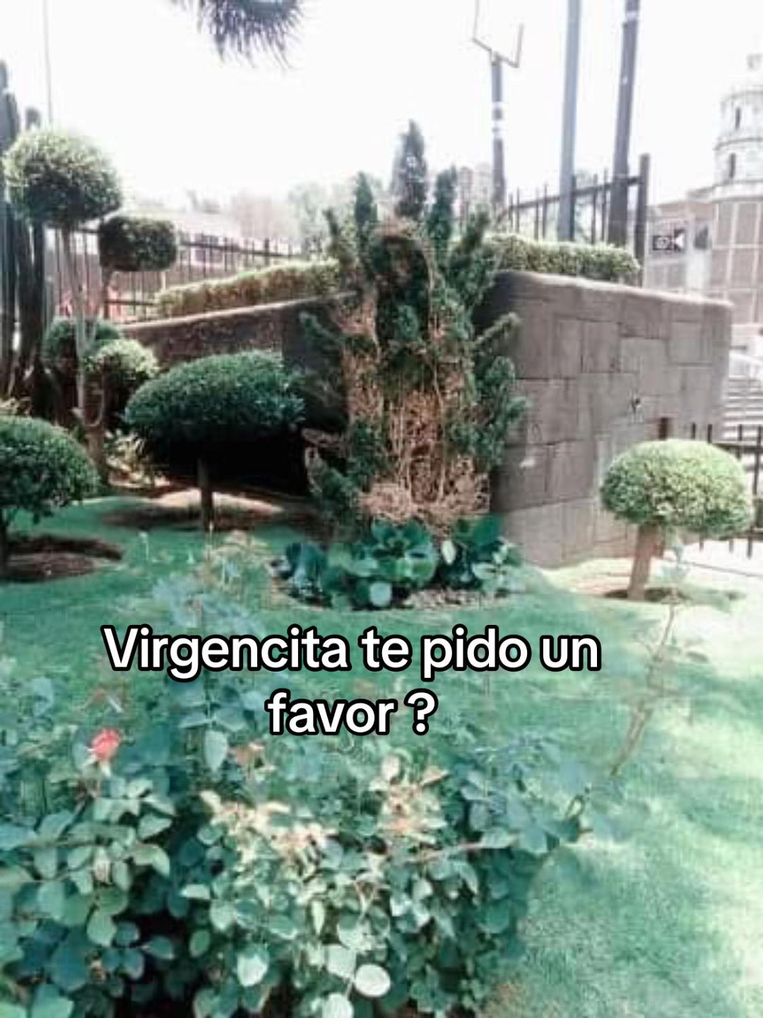@🇲🇽 ᙖ&epsilon;тყᴿᥫ᭡