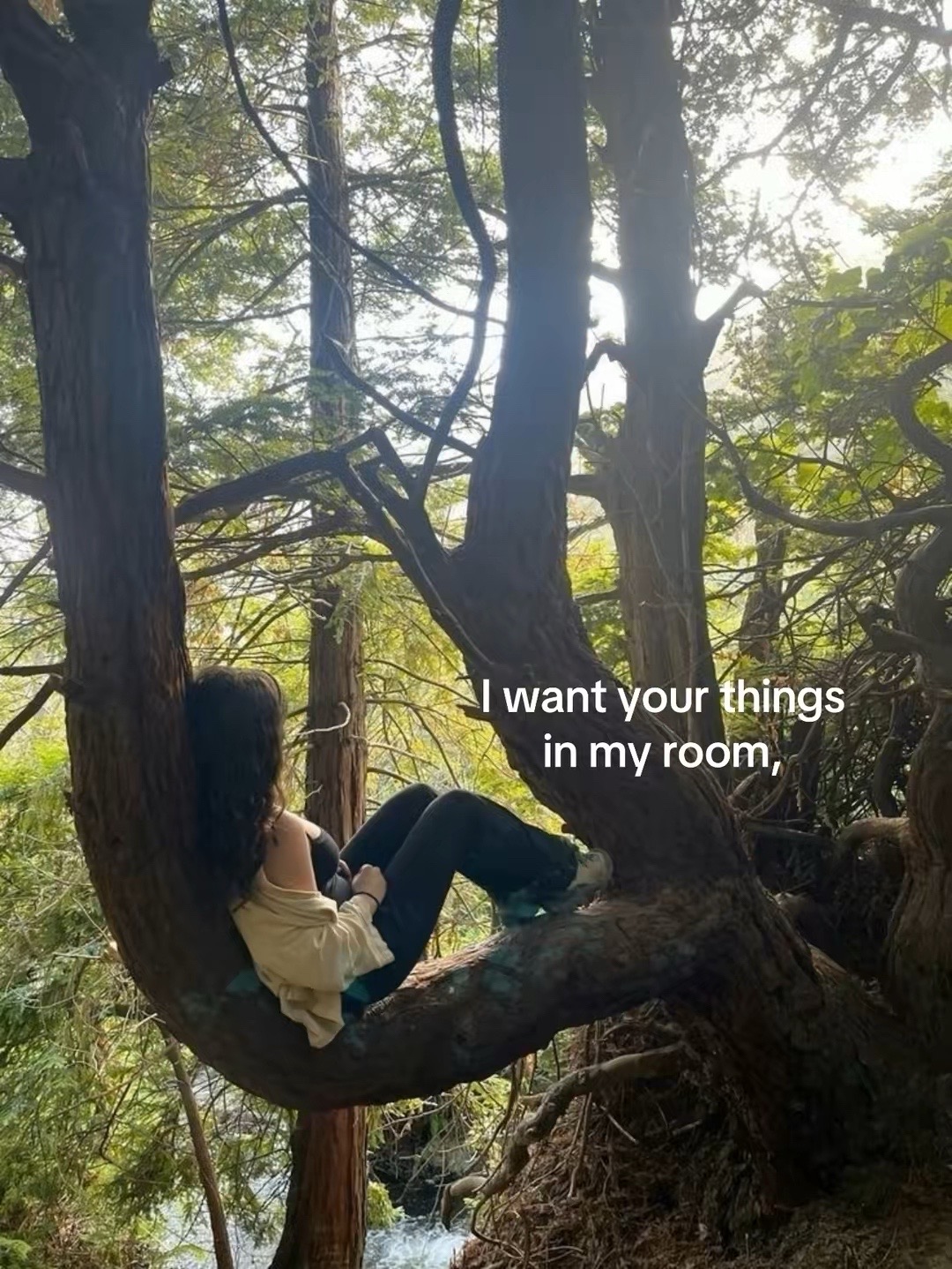@wolflimewire