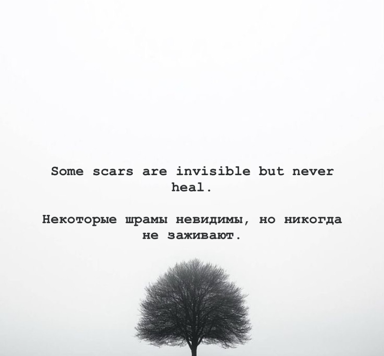 @цитаты обо всем*)