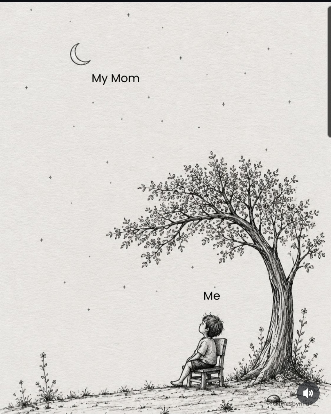 @S̳a̳t̳e̳l̳l̳i̳t̳e̳s̳4̳0̳7̳ ̳🛸