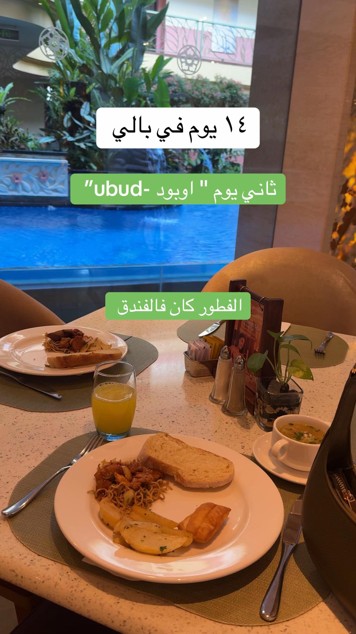 @Elara 🚀 | رحلة علم وحياة
