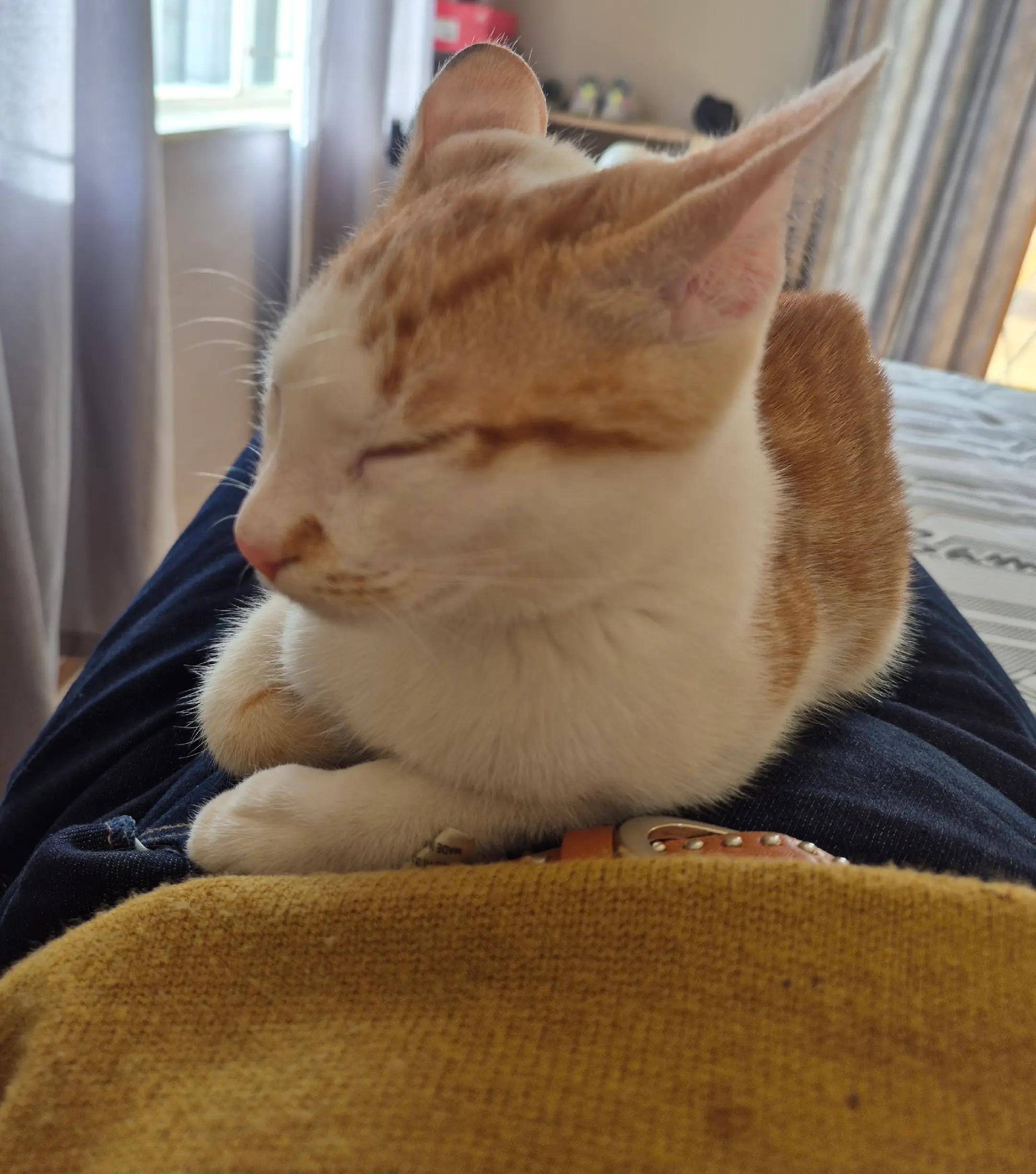 @Porchia Britz