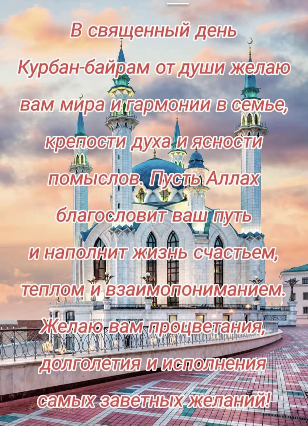 @Aigul Kusetova