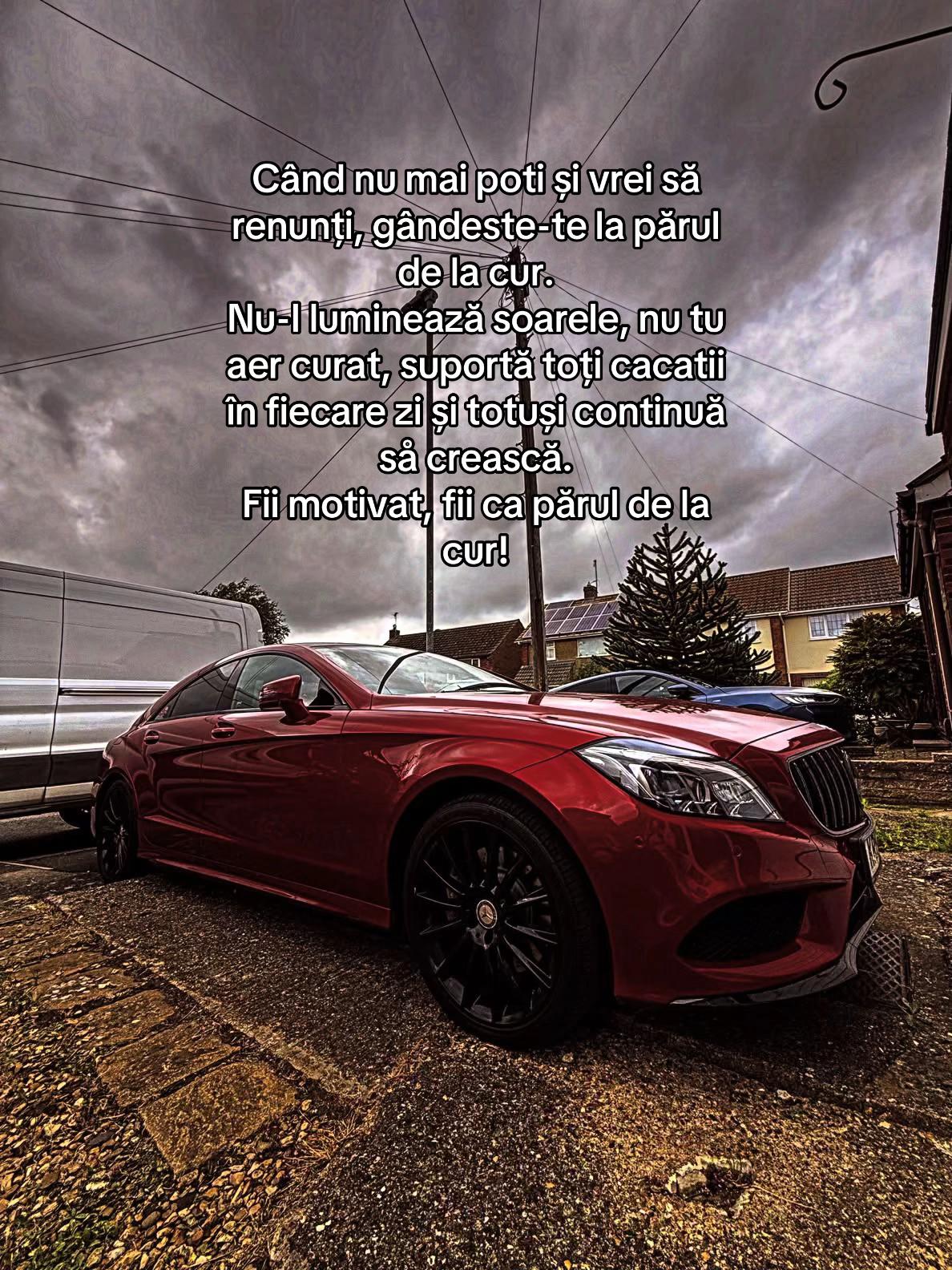 @🌶️SpicyBenz🌶️