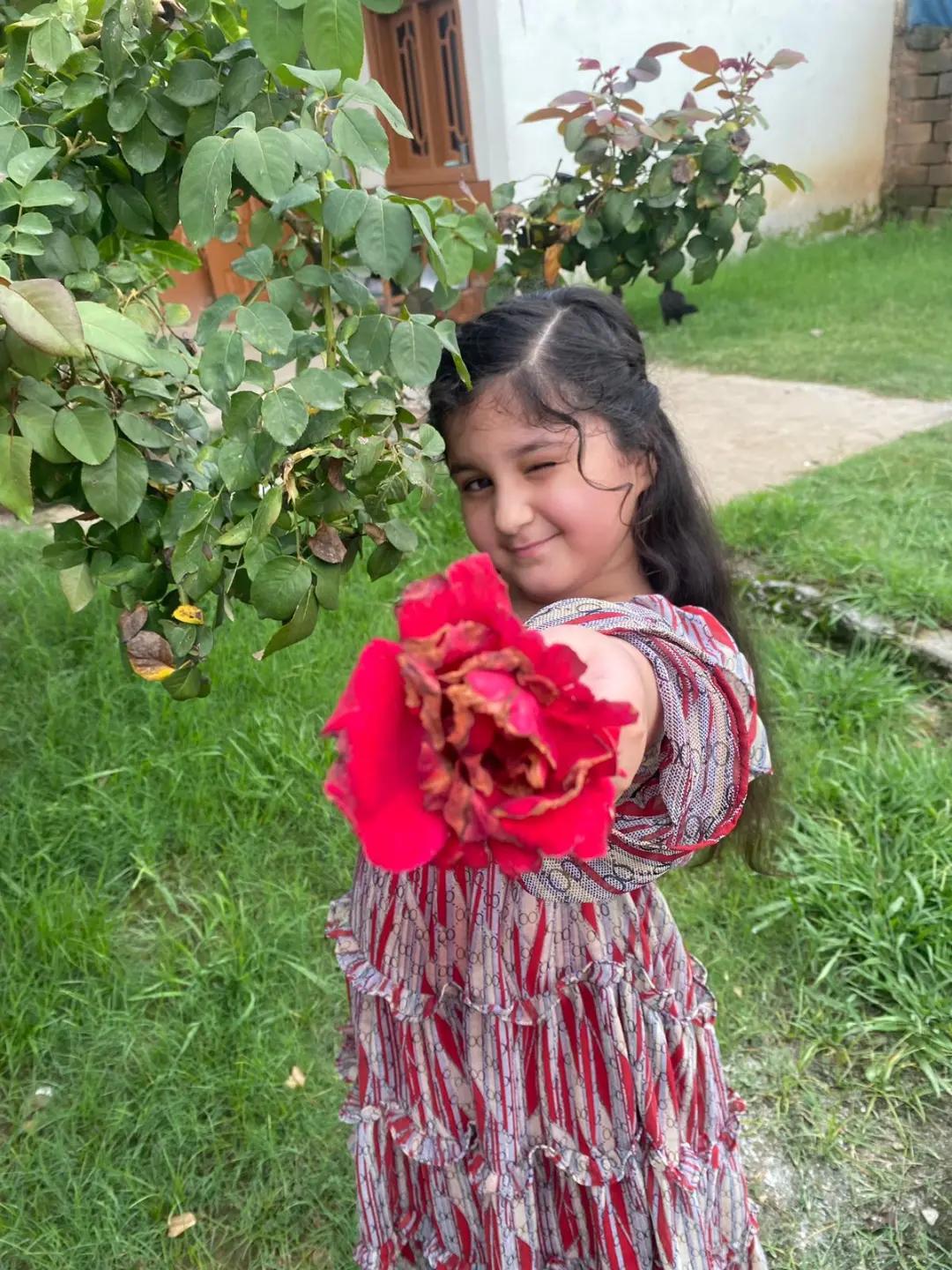 @Shumaila Akhtar