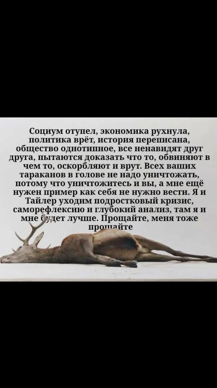 @🇪🇺𝐂𝐇𝐄𝐂𝐇𝐄𝐍𝐄𝐓𝐒🇷🇺