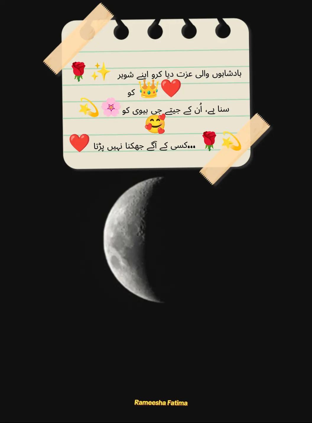 @Rameesha Fatima