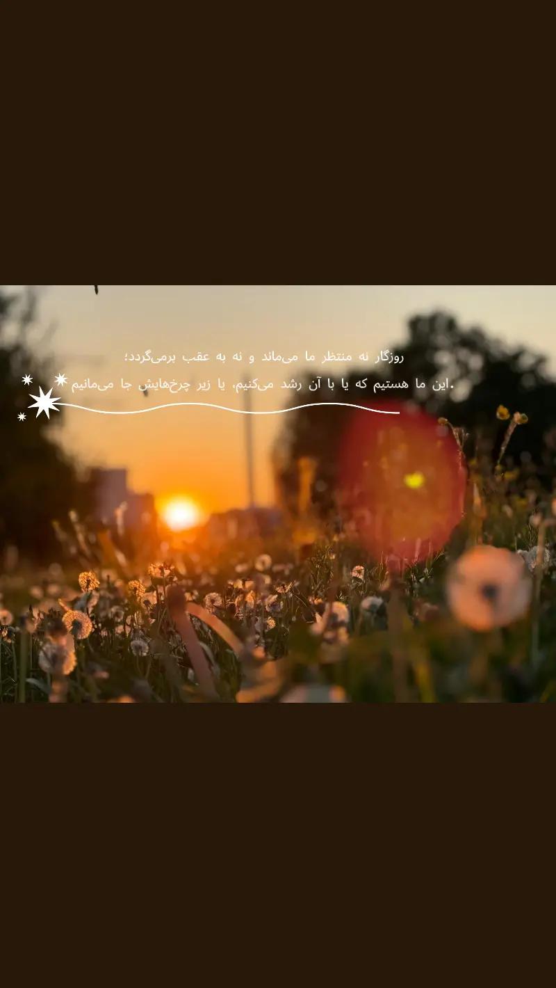 @sona zahed