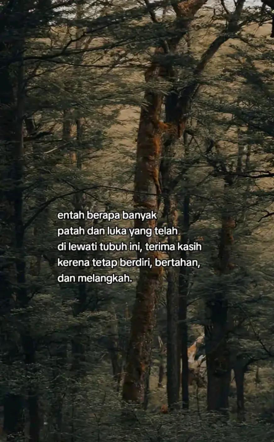 @KETUA 🫶🏻🫀